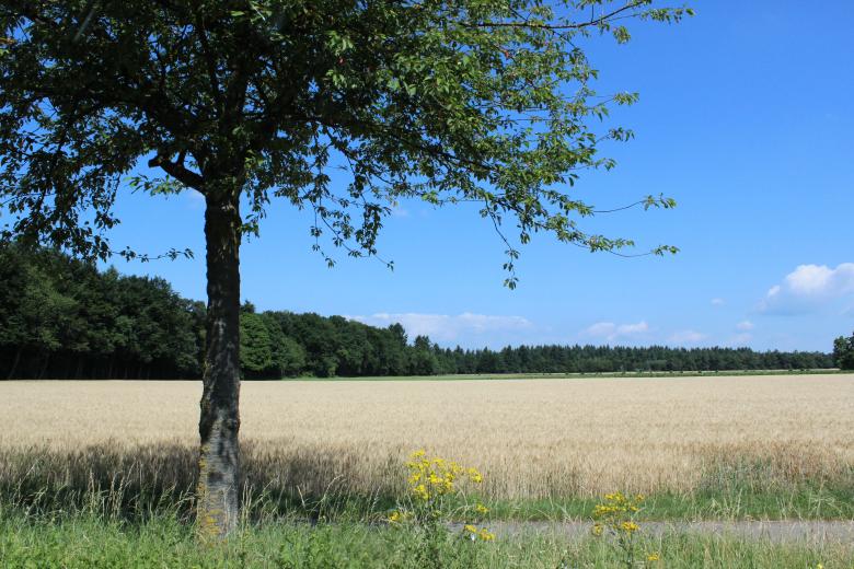 Free stock image of The Field created by Hassan Yahya Alali