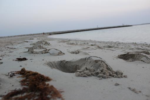 Sea Sand