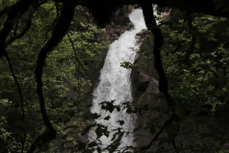 Free stock image of Waterfall in the Forest created by Hassan Yahya Alali