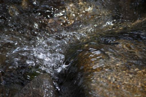 Stream of Water Close Up