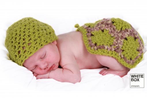 Free Stock Photo of New Born Turtle