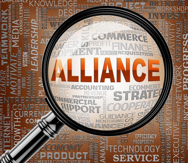 Free stock image of Alliance Magnifier Indicates Network Team And Cooperate created by Stuart Miles