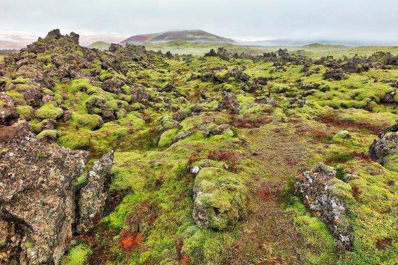 Free stock image of Of Moss, Mist, and Rugged Rocks created by Nicolas Raymond