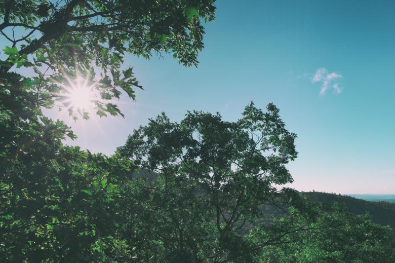 Free stock image of Blue Sky and Green Trees created by tosovisal