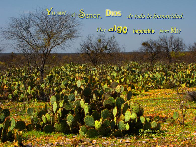 Free stock image of No Hay Algo Imposible created by DFNatureAwed