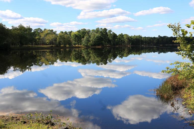 Free stock image of Water Reflection created by Vincent alvino