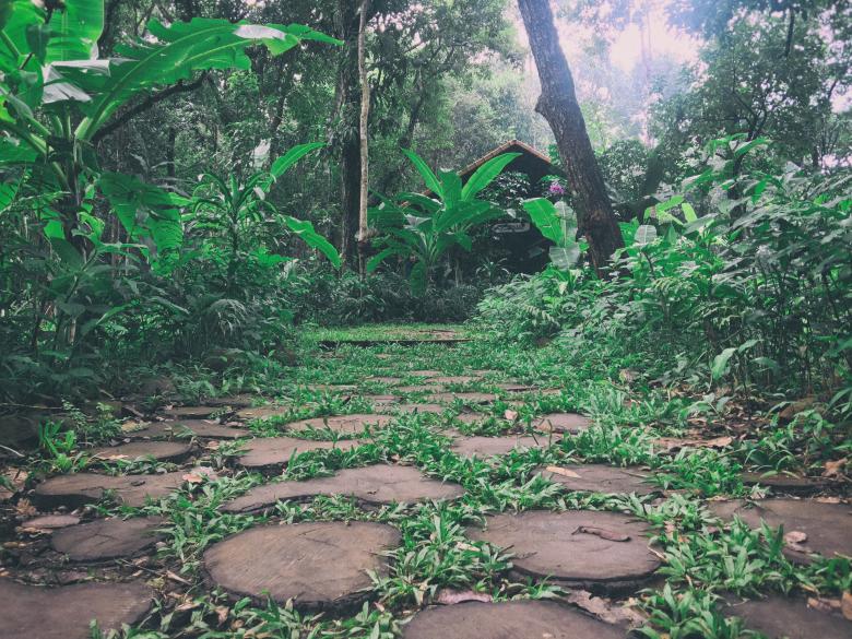 Free stock image of Walking way in forest created by tosovisal