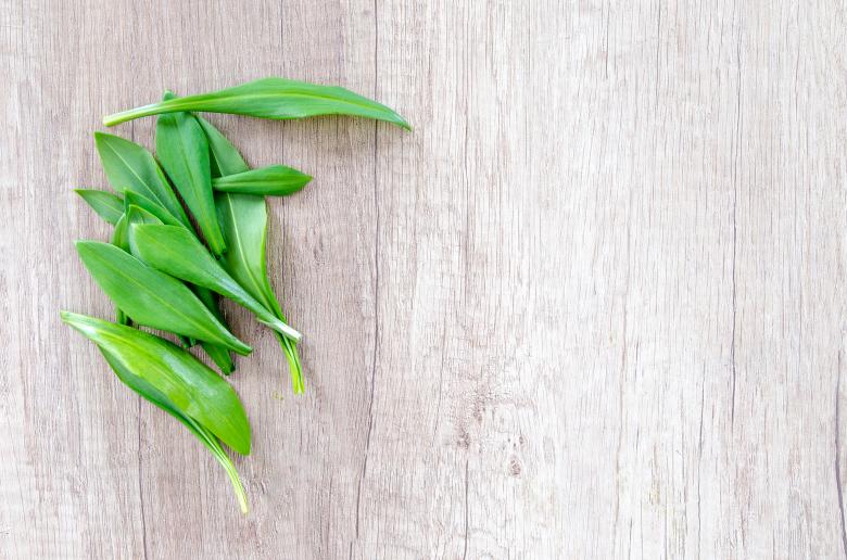 Free stock image of Fresh Wood Garlic created by Lukas