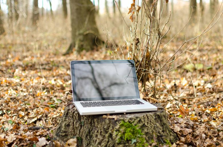 Free stock image of Laptop in Autumn Forest created by Lukas