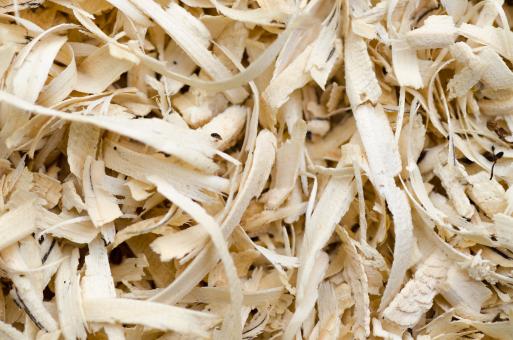 Wooden Chips Close-up