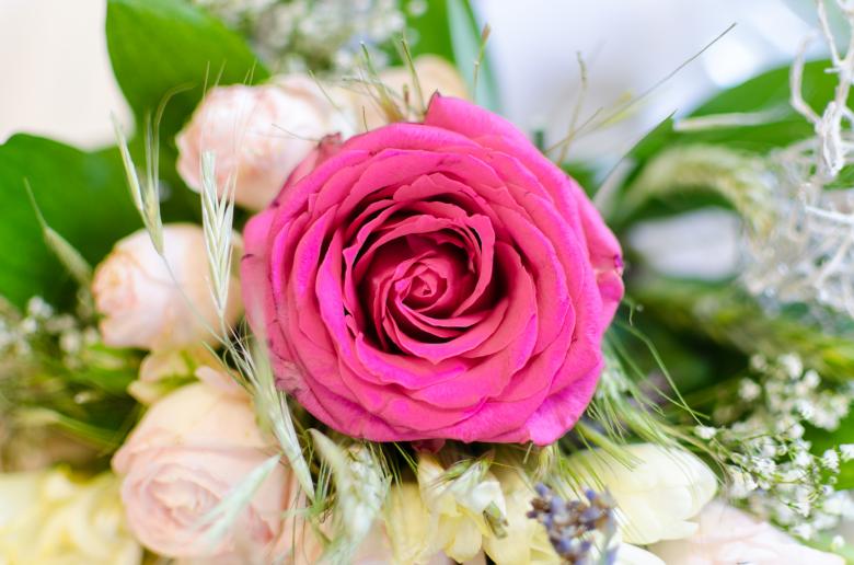 Free stock image of Pink Rose in Wedding Bouquet created by Lukas
