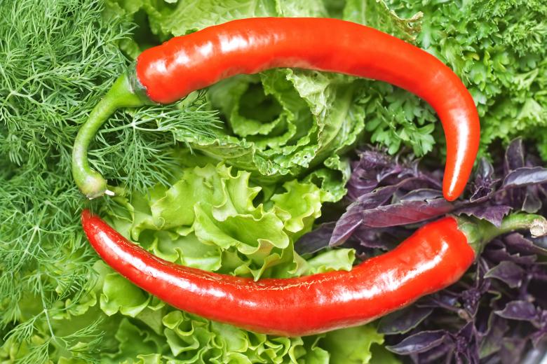 Free stock image of Two Chili Peppers created by 2happy