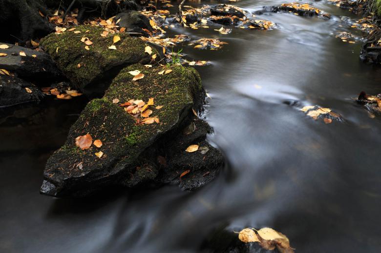 Free stock image of Autumn Stream created by Geoffrey Whiteway