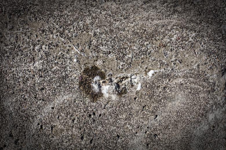 Free stock image of Old Concrete Surface Texture created by Free Texture Friday
