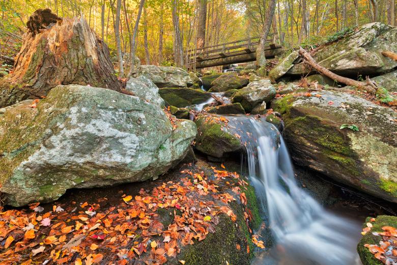 Free stock image of Apple Orchard Autumn Stream created by Nicolas Raymond