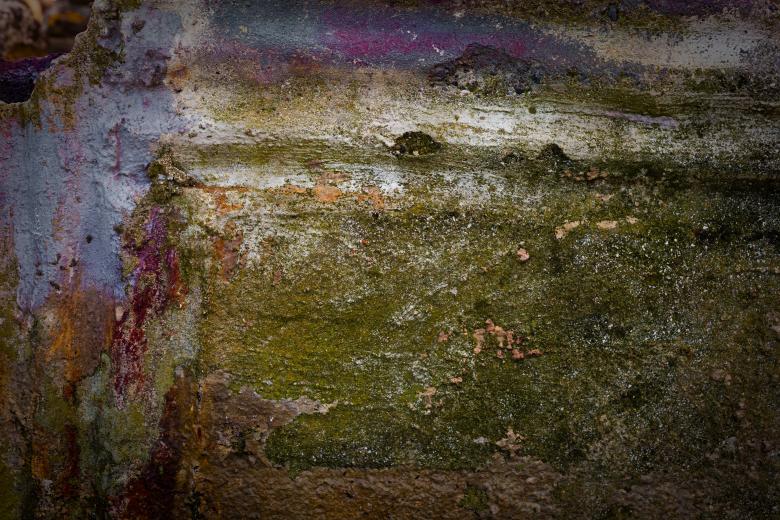 Free stock image of Grunge Colorful Wall Texture created by Bjorgvin