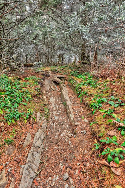 Free stock image of Frosted Appalachian Trail created by Nicolas Raymond