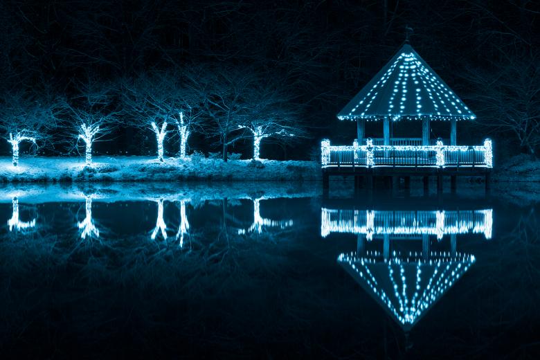 Free stock image of Blue Winter Night - Meadowlark Gardens created by Nicolas Raymond
