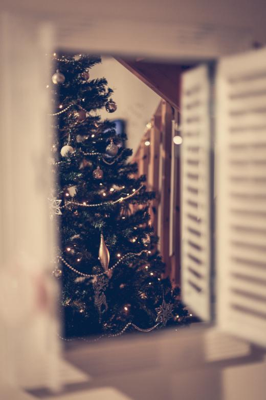 Free stock image of Christmas Tree Reflection created by Bjorgvin