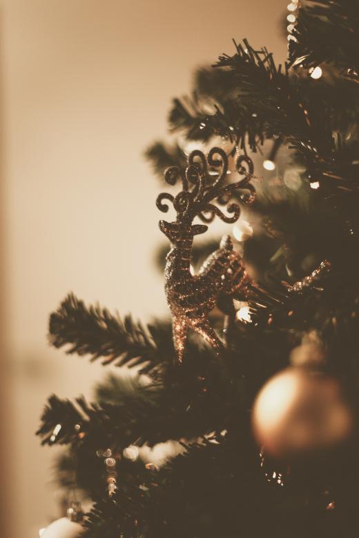 Free stock image of Reindeer Christmas Tree Ornament created by Bjorgvin
