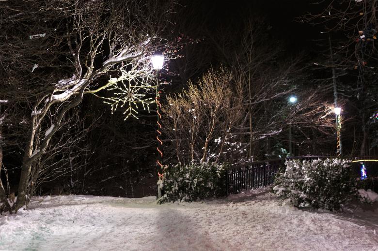 Free stock image of Christmas Lights in the Park created by Geoffrey Whiteway