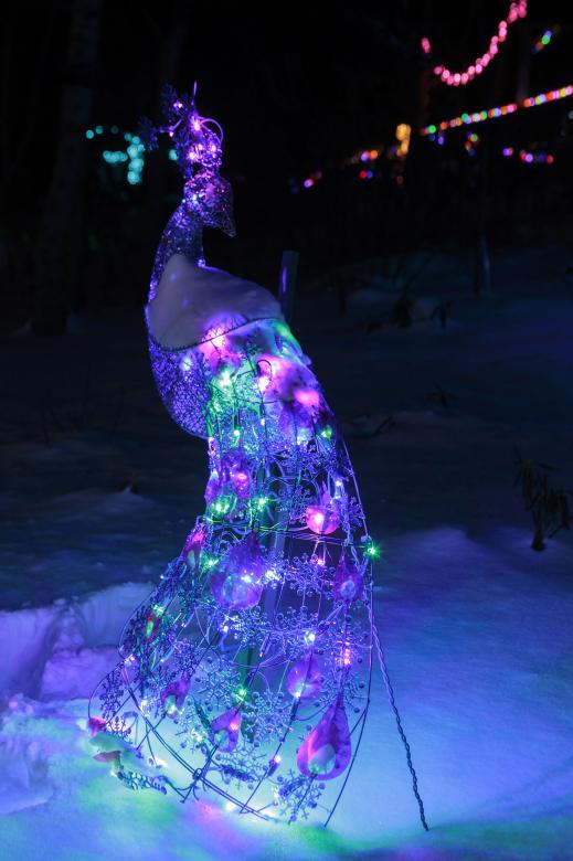 Free stock image of Outdoor Christmas Decoration created by Geoffrey Whiteway