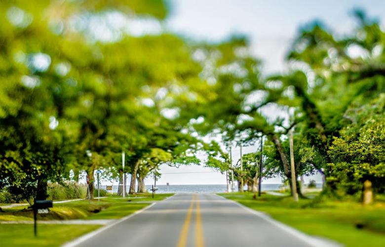 Free stock image of Tilt Shift Road and Green Trees created by agphotostock.com