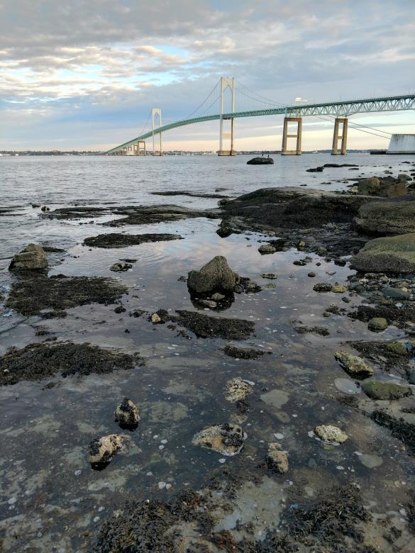 Free stock image of Newport Bridge - Rhode Island created by agphotostock.com