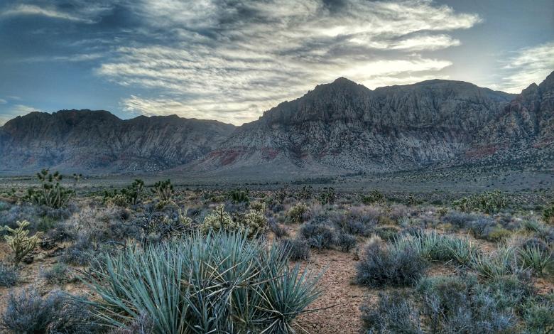 Free stock image of Red Rock Canyon Landscape created by agphotostock.com