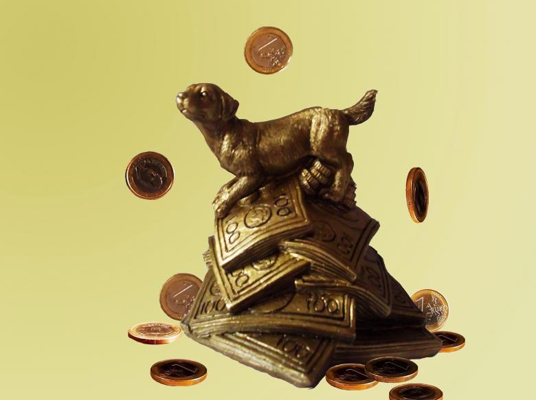 Free stock image of Dog & money created by Svetlana FI
