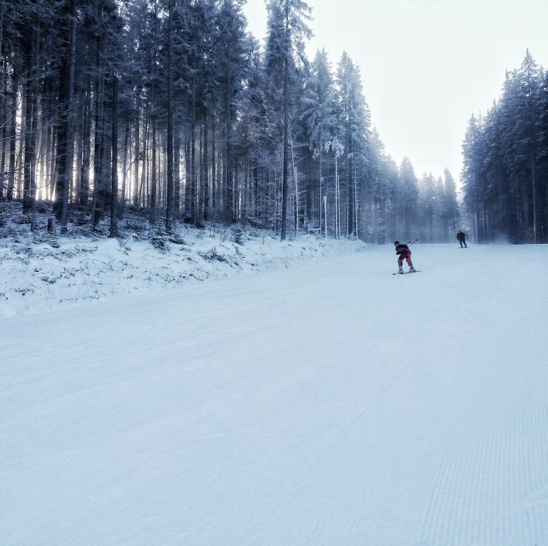 Free stock image of Skiing in Forest created by Kateryna Nemchenko