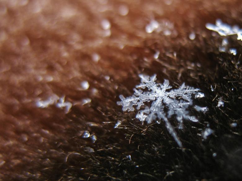 Free stock image of Macro Snowflake created by Kateryna Nemchenko