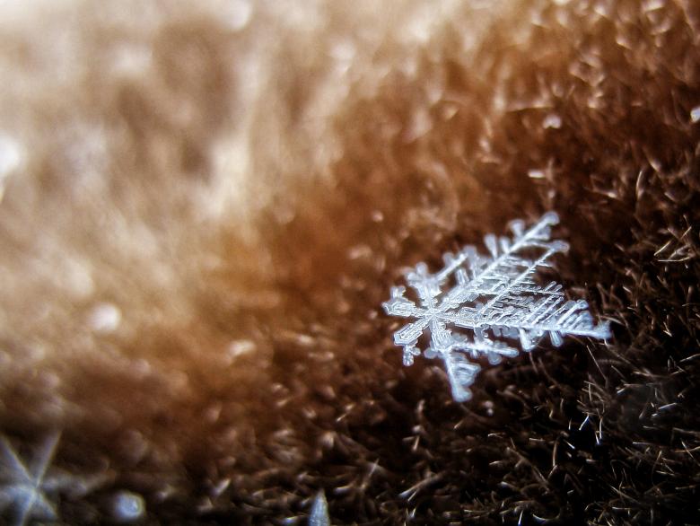 Free stock image of Macro Snowflake created by Kateryna Nemchenko