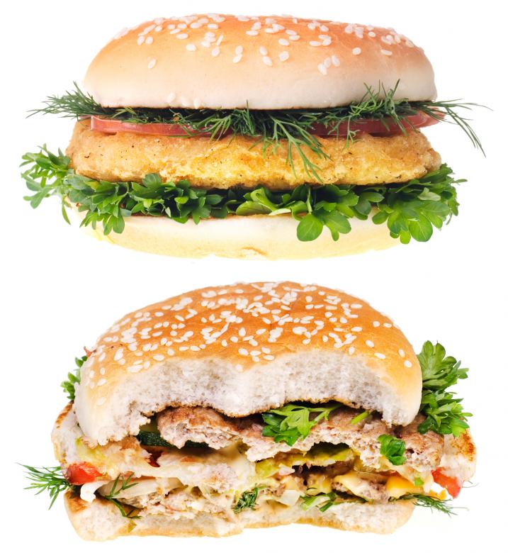Free stock image of Hamburgers - One Half Eaten created by 2happy