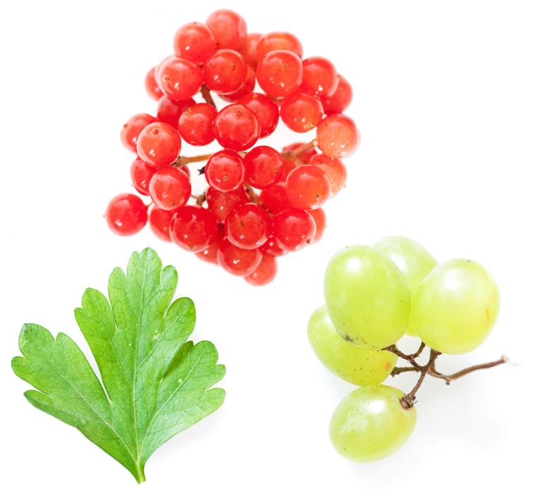 Free stock image of Mixed Fruits created by 2happy