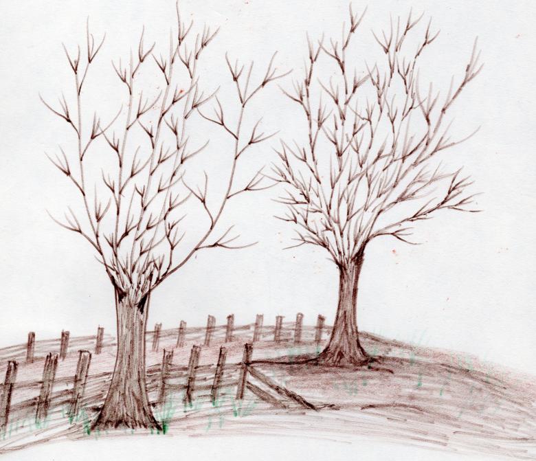 Free stock image of Hand drawn Art  created by rudy liggett
