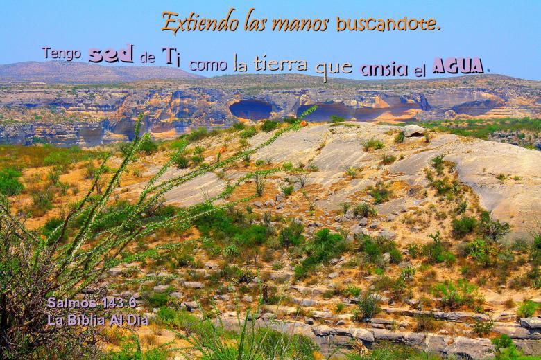 Free stock image of Sed de Dios created by DFNatureAwed