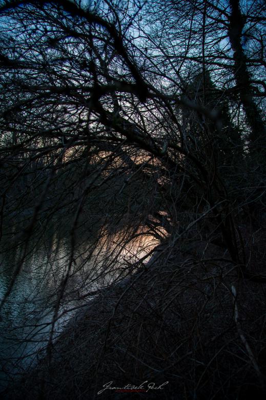 Free stock image of Winter Branches by the River created by Frantisek Pech