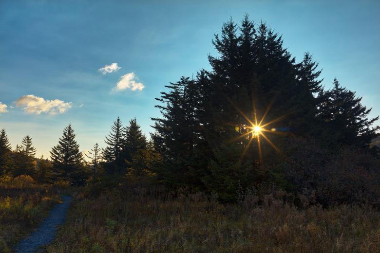 Free stock image of Spruce Knob Sunburst Trail created by Nicolas Raymond