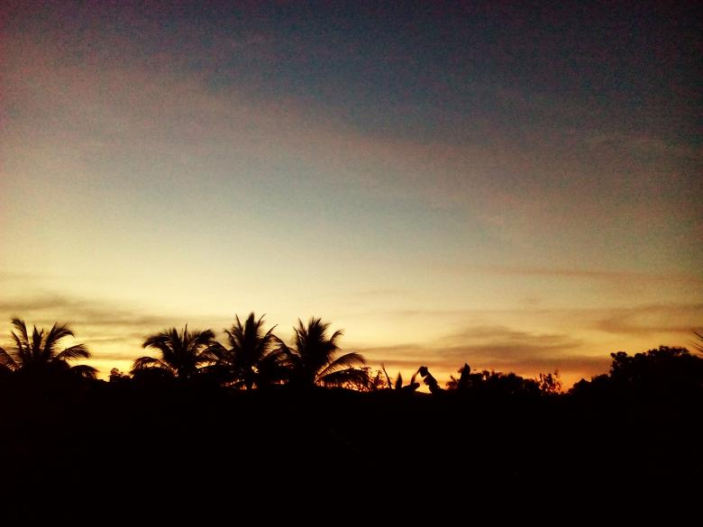 Free stock image of Evening Sky with Forest Silhouette created by Infinity Focus