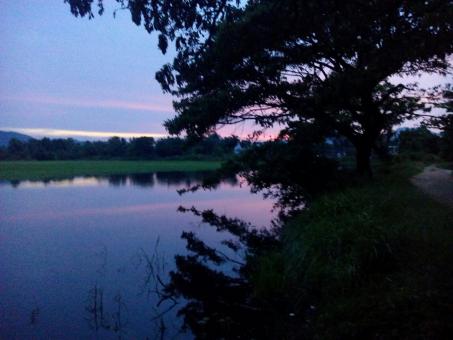 Free Stock Photo of Midnight Lake View