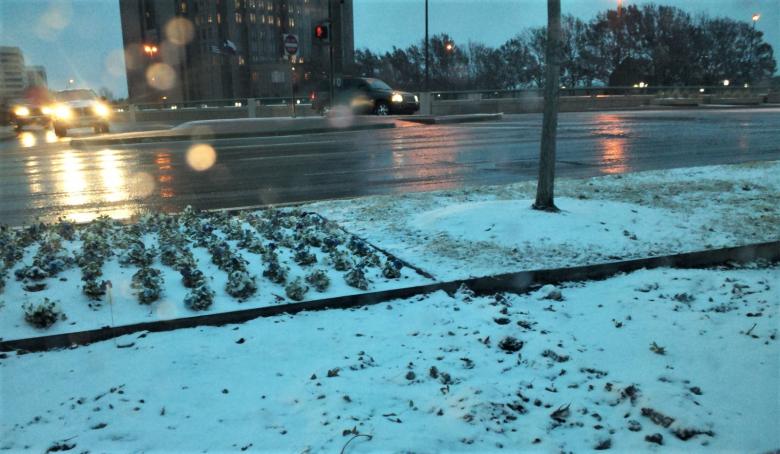 Free stock image of Icy city street created by Brenda Bassett