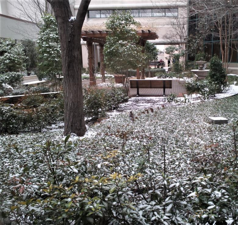 Free stock image of Park created by Brenda Bassett