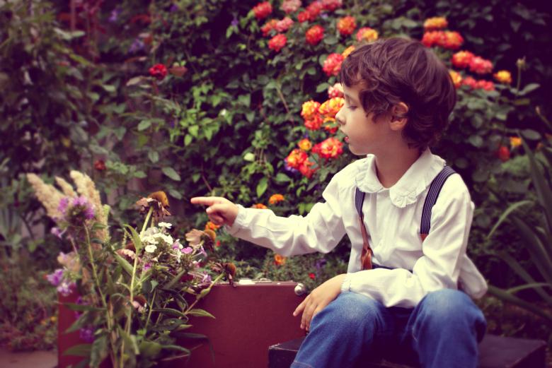 Free stock image of Boy Playing with Flowers created by Victoria Borodinova