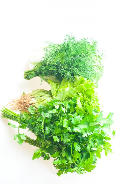 Free stock image of Green Parsley created by 2happy