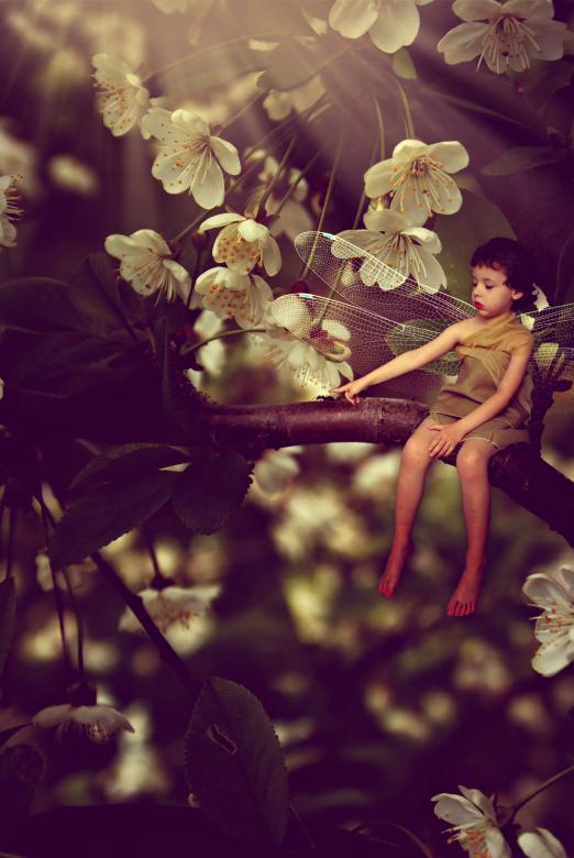 Free stock image of Little Boy Dragon Fly created by Victoria Borodinova