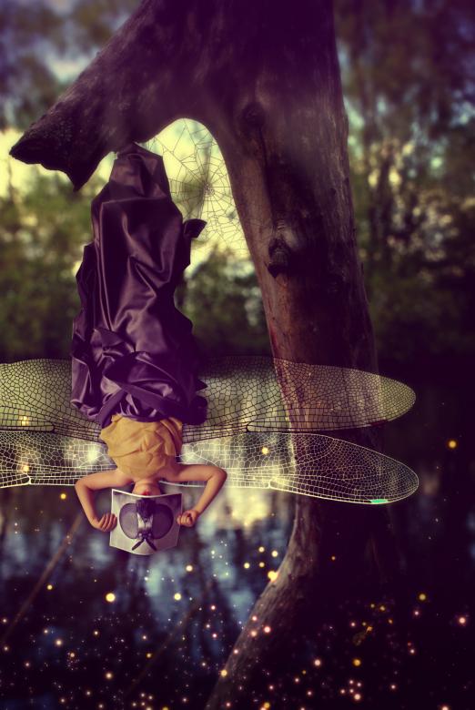 Free stock image of Dragonfly Art created by Victoria Borodinova