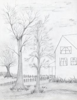 Hand Drawn Trees and House