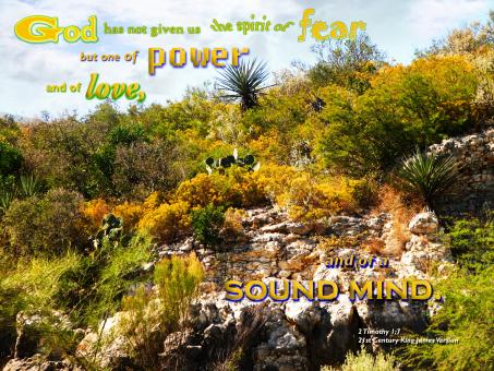 Free Stock Photo of Spirit of God's Enabling