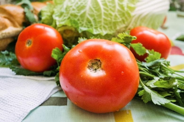 Free stock image of Fresh Tomatoes and Salad created by Svetlana